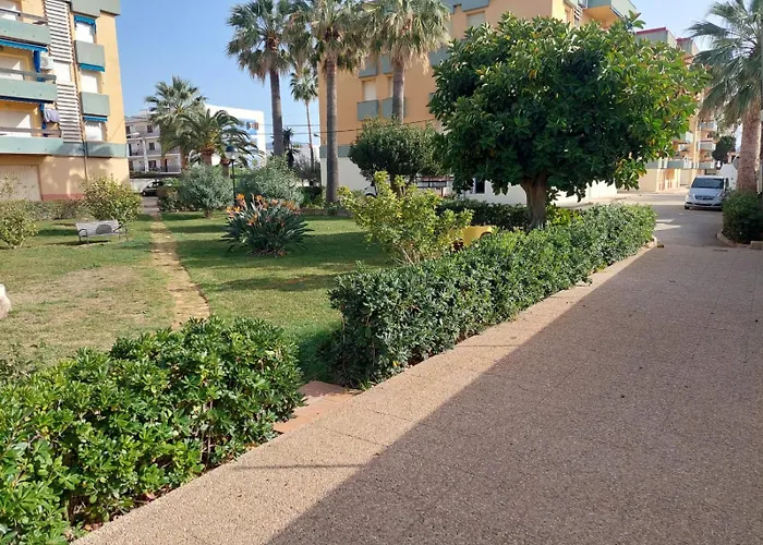 Naranjos * 德尼亚